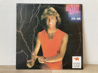 Andy Gibb: After Dark /LP/